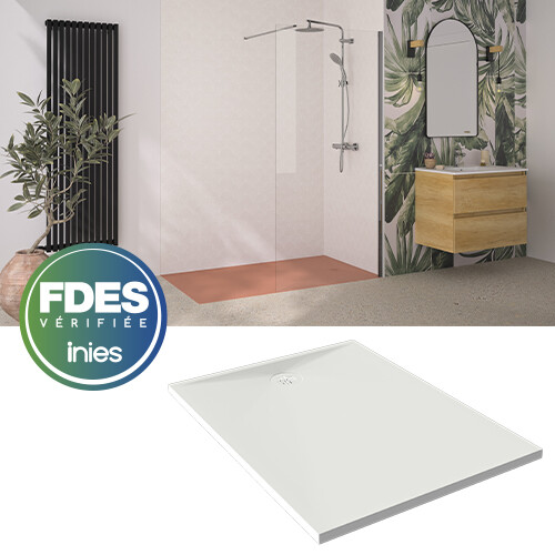 Image FDES