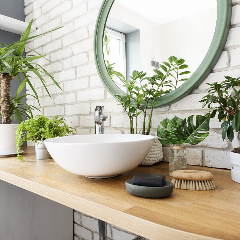 Quelles plantes choisir pour votre salle de bain ?